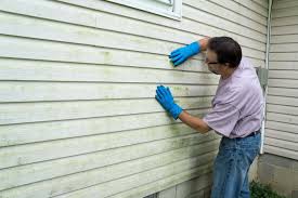 Professional Siding Installation & Repair in Cuero, TX